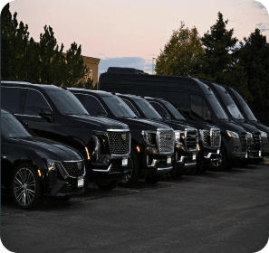 Professional chauffeur